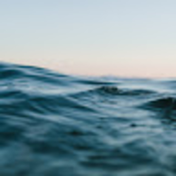 Meet your Posher, Riley - Picture 1 of 1